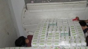 Indocumentados tráiler