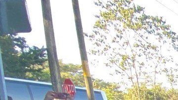 Deportaciones de centroamericanos,