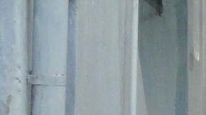 Las inundaciones podrían aumentar en los próximas años en Florida.