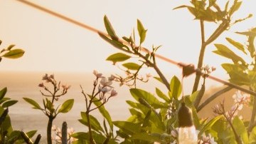 La Generación Z busca hacerse de su casa mucho más jóvenes que los millennials.