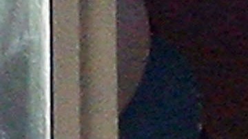 jlo delfines de miami