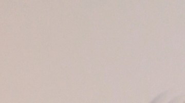 Johnny López y Chiquis Rivera