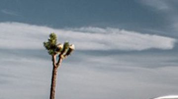 Kia Telluride 2020
Crédito: Cortesía Kia