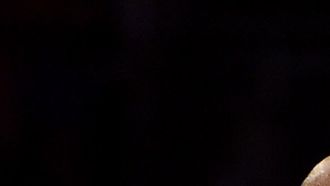 kobe bryant demanda por accidente