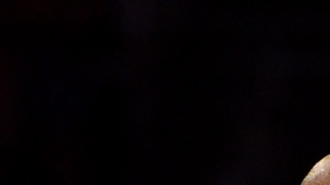 kobe bryant demanda por accidente