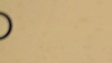 Los niños aparecieron con la clásica máscara del legendario gladiador azteca.