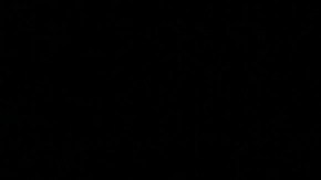 La Parka falleció en Hermosillo. Tenía 54 años.