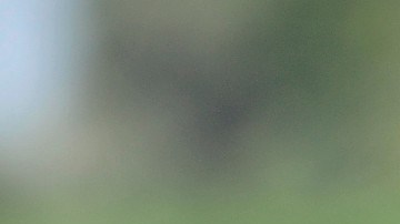 La canadiense enfrentaba una suspensión de cuatro años.