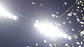 LSU gana su cuarto campeonato nacional.