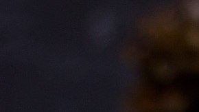 manzana-canela-pxhere