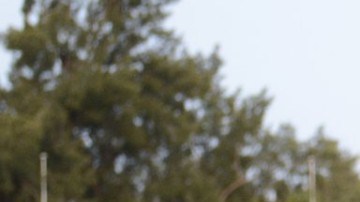 Ha generado comentarios de homofobia, los cuales el propio club repudia.