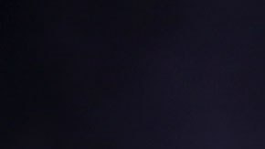 Se espera que este 2020, la empresa tenga grandes ganancias por la publicidad de las elecciones.