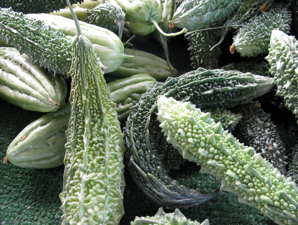 Melón amargo podría ayudar a tratar el cáncer de acuerdo a