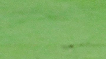 Lionel Messi se quedó con las ganas de celebrar el gol del triunfo para el Barça.
