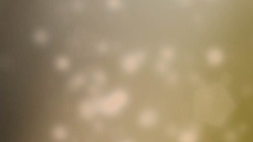 Crédito: Myriam Zilles /Pixabay