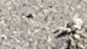 Imagen de la mina que encontró el residente de Florida y que pertenece a la Segunda Guerra Mundial.