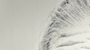 Crédito: Free-Photos/Pixabay