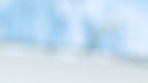 Los goles de la victoria fueron obra del argentino Mauro Quiroga.