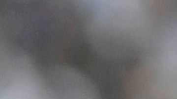 Nico Sánchez, defensa central de los Rayados de Monterrey.