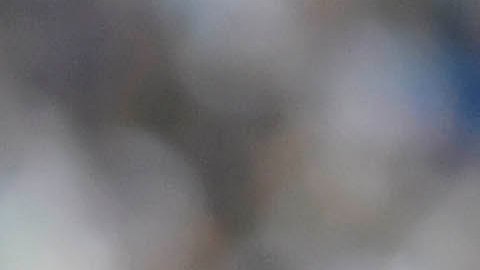 Nico Sánchez, defensa central de los Rayados de Monterrey.