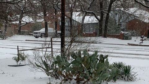 La nieve llegó.