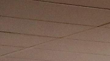 Seis exdirectivos de Osasuna, tres exjugadores del Betis y dos agentes inmobiliarios acusados en el caso.