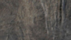 Ambos competidores del equipo Hyundai fueron trasladados inmediatamente a un hospital.