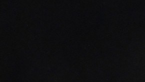 “No sé si estoy drogado o sobrio”, dijo Pogba