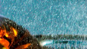 La empresa reembolsará la compra de una bebida a cualquier persona de Estados Unidos.