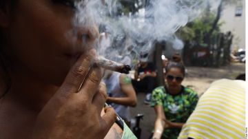 Avanza legalización del consumo de marihuana en México.