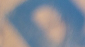 pescado Salmón- food