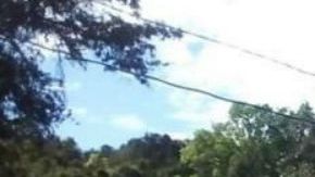 Piden detener a integrantes del Cártel de Los Ardillos por matar y quemar a 10 músicos