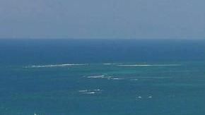 La planta Palo Seco en Toa Baja.