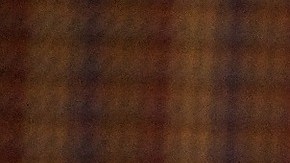 Los pug se han vuelto muy populares en los últimos años.