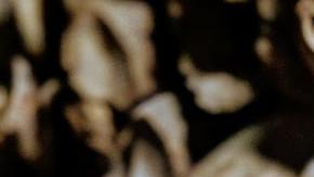 Tanatoturismo, una nueva y extraña forma de recorrer el mundo / Créditos: Fotógrafo Yann Schaub vía Unsplash