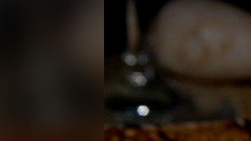 En 2015, la misma empresa logró vender 450 libras de queso añejado por  20 años en sólo 2 días.