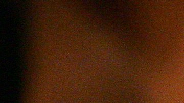 brookliyn wren pelea mcgregor cerrone