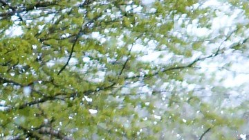 Lluvia, Nieve, Clima