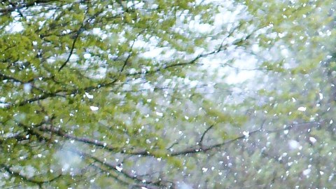 Lluvia, Nieve, Clima