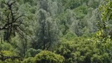 El terreno que podría ser convertido en parque rebasa las 50 hectáreas y abarca 4 condados.