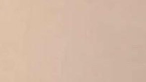 Foto de la cuenta del restaurante / Humblemangoes - Reddit