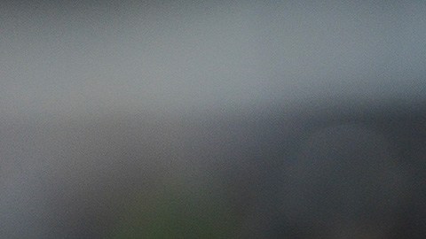Tigres tendrán que enfrentar doble torneo, al jugar la Liga MX y la Concachampions.