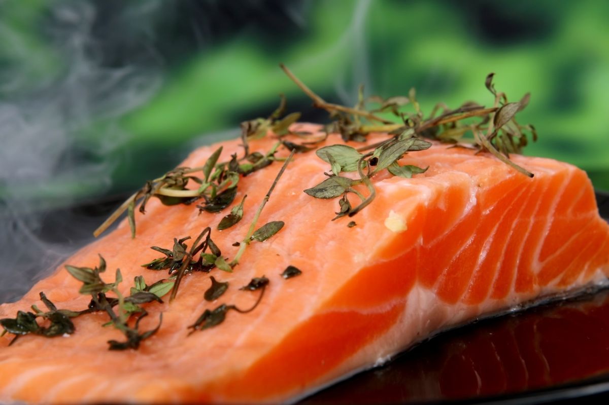Cuáles son los tipos de salmón y cuál te conviene comprar | La Opinión