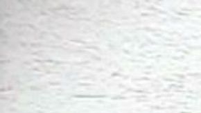 Sandra Ávila Beltrán, alias la "Reina del Pacifico".