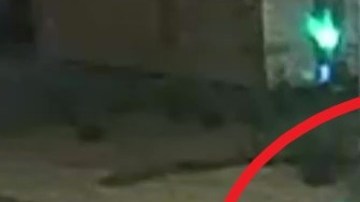 La policía de Glendale, en Arizona, busca al conductor de esta camioneta / Twitter @GlendaleAZPD