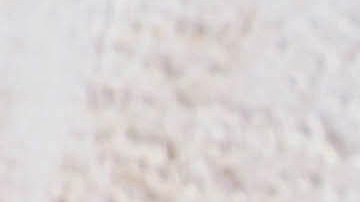 donación de órganos