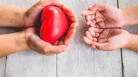 donación de órganos