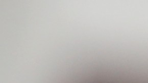 Pese a que ya pagó una multa, el afectado pide un castigo mayor.