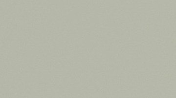 shutterstock_1503902987