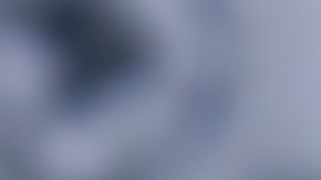 Cucarachas en el hogar, Shutterstock